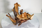 rustic catchall branching twisted wood root bowl sculpture, brown gold maroon, Wabi Sabi Ponderosa pine, unique imaginative 11.2 inch, 489-A