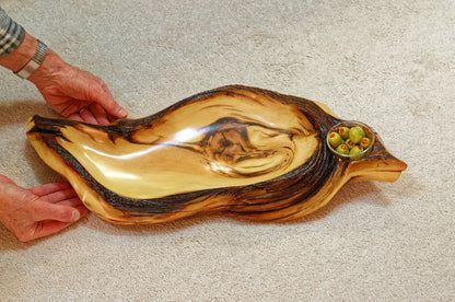 arched wood platter bowl, one of a kind exotic 25", tabletop sculpture, rustic, refined, asymmetric, live wood, 25.5 x 11.5 x 3.25", 334-A