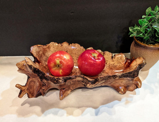 Waxmyrtle twisted roots bowl, wood, rich natural color, 5.37" tall x 14.5 x 7, 3.5#, Wabi Sabi, one-of-a-kind, asymmetric, upcycled, 546-A1