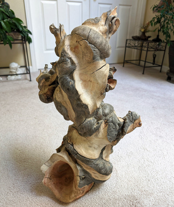 Freeform wood sculpture, Lodgepole pine forest fire "survivor", 33 tall x 19 x 12", 15 lbs, one-of-a-kind, asymmetric, 244-A
