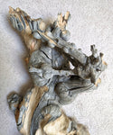 Freeform wood sculpture, Lodgepole pine forest fire "survivor", 33 tall x 19 x 12", 15 lbs, one-of-a-kind, asymmetric, 244-A