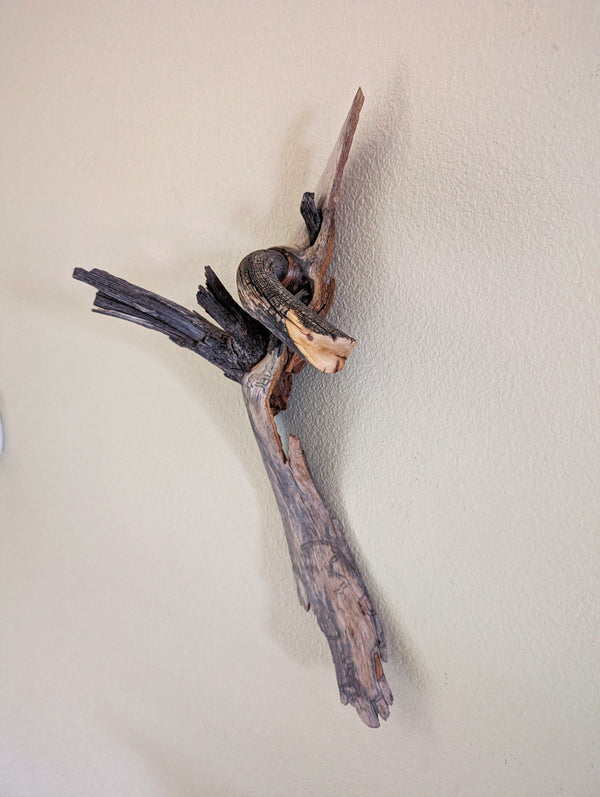 wall hanging, lodgepole pine branches, 20.5 long x 9 wide x 6.5'' deep, 0.95 lbs, Wabi Sabi Wasabi, one-of-a-kind, asymmetric upcycled 305-A