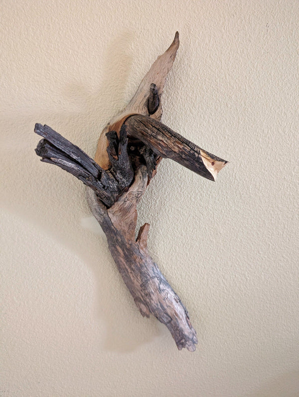 wall hanging, lodgepole pine branches, 20.5 long x 9 wide x 6.5'' deep, 0.95 lbs, Wabi Sabi Wasabi, one-of-a-kind, asymmetric upcycled 305-A