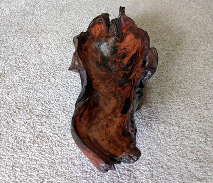 driftwood bowl, rich natural colors, dark wood, black walnut ?, 20" x 8 x 5.5 tall, 3.03 lbs., Wabi Sabi, one-of-a-kind, asymmetric, 462-A
