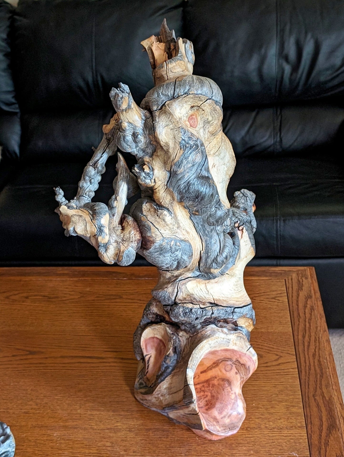 Freeform wood sculpture, Lodgepole pine forest fire "survivor", 33 tall x 19 x 12", 15 lbs, one-of-a-kind, asymmetric, 244-A
