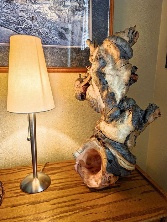 Freeform wood sculpture, Lodgepole pine forest fire "survivor", 33 tall x 19 x 12", 15 lbs, one-of-a-kind, asymmetric, 244-A