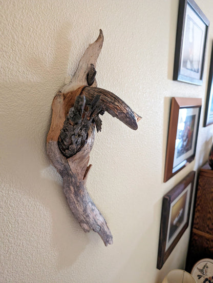 wall hanging, lodgepole pine branches, 20.5 long x 9 wide x 6.5'' deep, 0.95 lbs, Wabi Sabi Wasabi, one-of-a-kind, asymmetric upcycled 305-A