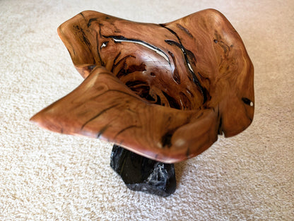 wood bowl sculpture, obsidian rock, tabletop, 9" Tall x 9 x 8', 4.1 lb, Wabi Sabi, rich natural color, one-of-a-kind, spruce root, 460-A