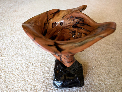 wood bowl sculpture, obsidian rock, tabletop, 9" Tall x 9 x 8', 4.1 lb, Wabi Sabi, rich natural color, one-of-a-kind, spruce root, 460-A
