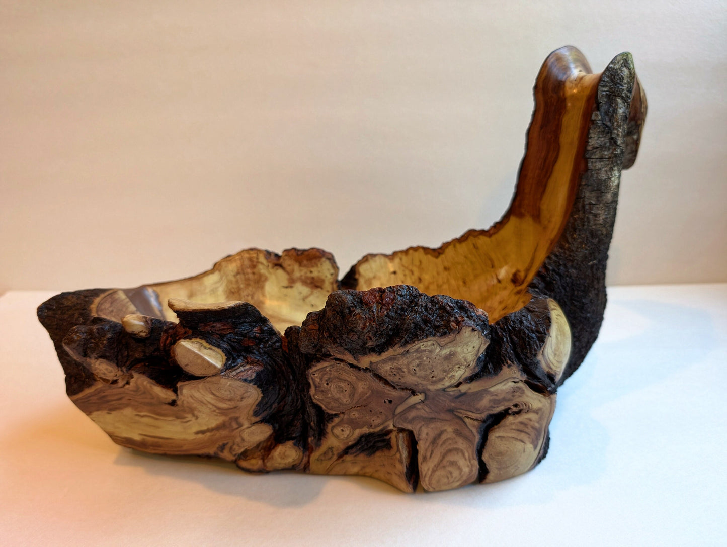 swanlike wood bowl, rustic yet refined live edge, tabletop sculpture, Waxmyrtle, 7.5 tall x 13.5 x 6.5", 3.4 lbs., Wabi Sabi, unique, 547-A1
