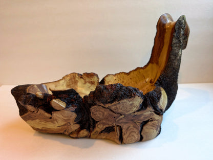 swanlike wood bowl, rustic yet refined live edge, tabletop sculpture, Waxmyrtle, 7.5 tall x 13.5 x 6.5", 3.4 lbs., Wabi Sabi, unique, 547-A1