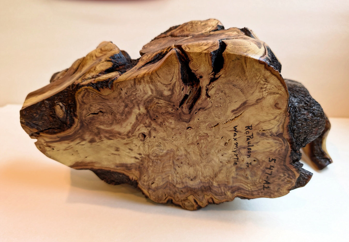 swanlike wood bowl, rustic yet refined live edge, tabletop sculpture, Waxmyrtle, 7.5 tall x 13.5 x 6.5", 3.4 lbs., Wabi Sabi, unique, 547-A1