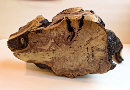 swanlike wood bowl, rustic yet refined live edge, tabletop sculpture, Waxmyrtle, 7.5 tall x 13.5 x 6.5", 3.4 lbs., Wabi Sabi, unique, 547-A1