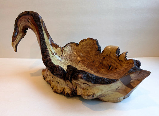 swanlike wood bowl, rustic yet refined live edge, tabletop sculpture, Waxmyrtle, 7.5 tall x 13.5 x 6.5", 3.4 lbs., Wabi Sabi, unique, 547-A1