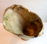 Oregon White Oak wood vase, artfully slit sides, 11.5 tall x 10 x 8’’, 4.61 lbs, Wabi Sabi Wasabi, one-of-a-kind, asymmetric, twist 310-A