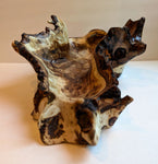 . Live edge Cottonwood wood bowl sculpture, tree cut by beavers, 6.25 tall x 17.5 x 10.25’’, 3.24 lb, Wabi Sabi, one-of-a-kind, upcycled 577-A