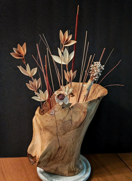 Oregon White Oak wood vase, artfully slit sides, 11.5 tall x 10 x 8’’, 4.61 lbs, Wabi Sabi Wasabi, one-of-a-kind, asymmetric, twist 310-A