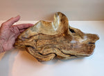 hazelnut wood Platter, Plate Catchall sculpture, 2.25" tall x 16 x 10.5, 1.33 lb, golden tan, unique mottling, Wabi Sabi, upcycled, 600-B