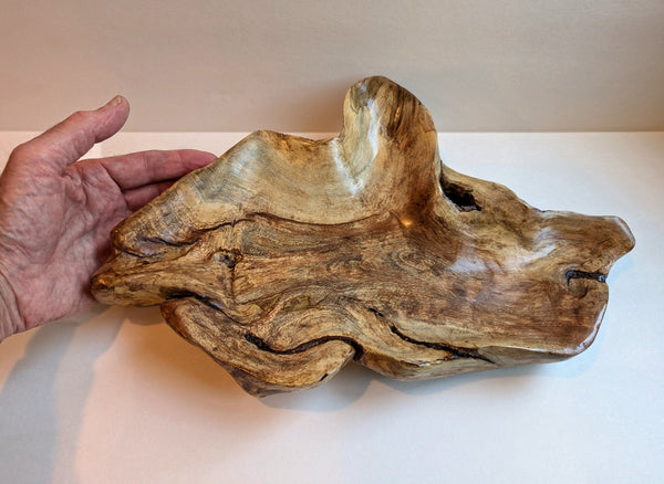 hazelnut wood Platter, Plate Catchall sculpture, 2.25" tall x 16 x 10.5, 1.33 lb, golden tan, unique mottling, Wabi Sabi, upcycled, 600-B