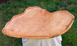 . 325-B, Exotic wood platter, beige, yellow brown, tan, maroon, bark, 22.2" long x 16" wide x 3.6'' tall 3.4 lbs, rich grain figuring, unique
