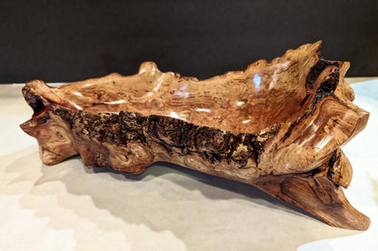 Waxmyrtle twisted roots bowl, wood, rich natural color, 5.37" tall x 14.5 x 7, 3.5#, Wabi Sabi, one-of-a-kind, asymmetric, upcycled, 546-A1