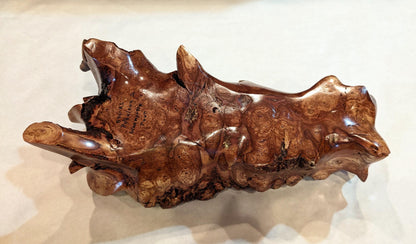 Waxmyrtle twisted roots bowl, wood, rich natural color, 5.37" tall x 14.5 x 7, 3.5#, Wabi Sabi, one-of-a-kind, asymmetric, upcycled, 546-A1