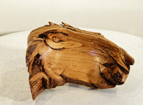 sagebrush catchall, Wood, 7.5" x 6.5 x 3.25 tall, 0.5 lb, sagebrush shrub, Wabi Sabi, one-of-a-kind, beautiful grain, asymmetric, 483-B