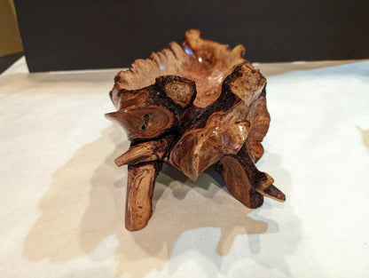 Waxmyrtle twisted roots bowl, wood, rich natural color, 5.37" tall x 14.5 x 7, 3.5#, Wabi Sabi, one-of-a-kind, asymmetric, upcycled, 546-A1