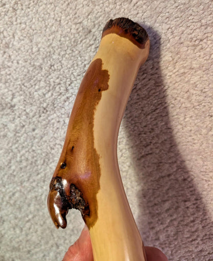 Mt Mahogany hiker, walking stick, hiking stick, wood, custom grip, 45 inches tall, Wabi Sabi wabi-sabi one-of-a-kind, from dead tree, 186-C
