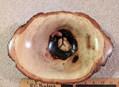 red oak bowl, Wood, live edge, bark, beautiful grain, natural color, 3.75" tall x 10.4 x 7.5, Wabi Sabi, one-of-a-kind, asymmetric, 568-D
