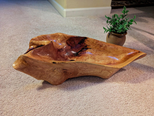 Driftwood bowl from Pacific Ocean, Sitka spruce, wood, natural colors golden brown, irregular, 6" tall x 19 x 8, Wabi Sabi  one-of-a-kind, 580-A