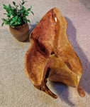ocean driftwood bowl, Sitka spruce, wood, natural colors golden maroon tan, irregular, 6" tall x 19 x 8, Wabi Sabi  one-of-a-kind, 580-A