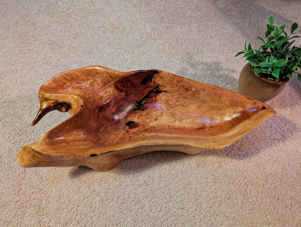 ocean driftwood bowl, Sitka spruce, wood, natural colors golden maroon tan, irregular, 6" tall x 19 x 8, Wabi Sabi  one-of-a-kind, 580-A