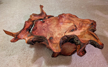 exotic root bowl, Ponderosa pine rustic refined wood, live edge, natural gold maroon brown, rich grain, 7" tall x 20.5, unique, 593-A1