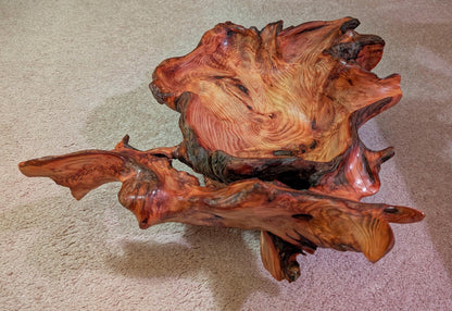 exotic root bowl, Ponderosa pine rustic refined wood, live edge, natural gold maroon brown, rich grain, 7" tall x 20.5, unique, 593-A1
