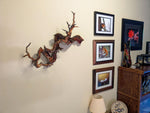 Manzanita wall hanging, twisted wood natural sculpture, twisted branches & roots, 27x16.5x9.5'', Wabi Sabi, one-of-a-kind, upcycled, 605-A