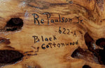 buggy bowl with holes, unique exotic wood, bowl sculpture, rich natural color, 6.5"Tx14x11, Wabi Sabi, one-of-a-kind, asymmetric, 622-A