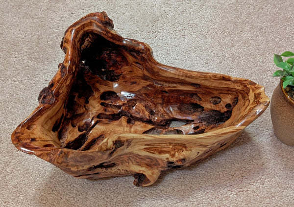 buggy bowl with holes, unique exotic wood, bowl sculpture, rich natural color, 6.5"Tx14x11, Wabi Sabi, one-of-a-kind, asymmetric, 622-A