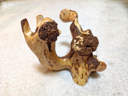 Wood vase sculpture, twisted, 2 part, rustic, unique, flowing, 9.5 in. tall x 10 x 9, Wabi Sabi, one of a kind, asymmetric, upcycled, 413-A