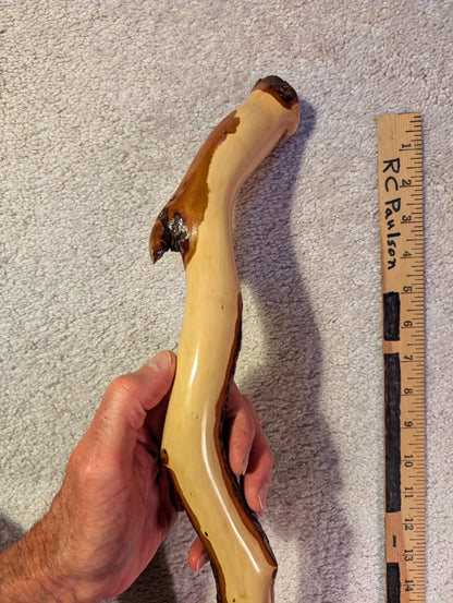 Mt Mahogany hiker, walking stick, hiking stick, wood, custom grip, 45 inches tall, Wabi Sabi wabi-sabi one-of-a-kind, from dead tree, 186-C
