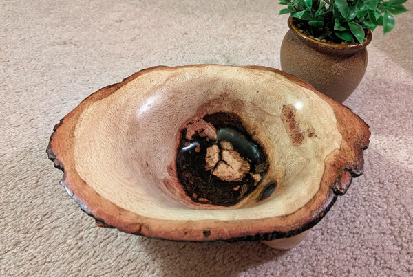 red oak bowl, Wood, live edge, bark, beautiful grain, natural color, 3.75" tall x 10.4 x 7.5, Wabi Sabi, one-of-a-kind, asymmetric, 568-D