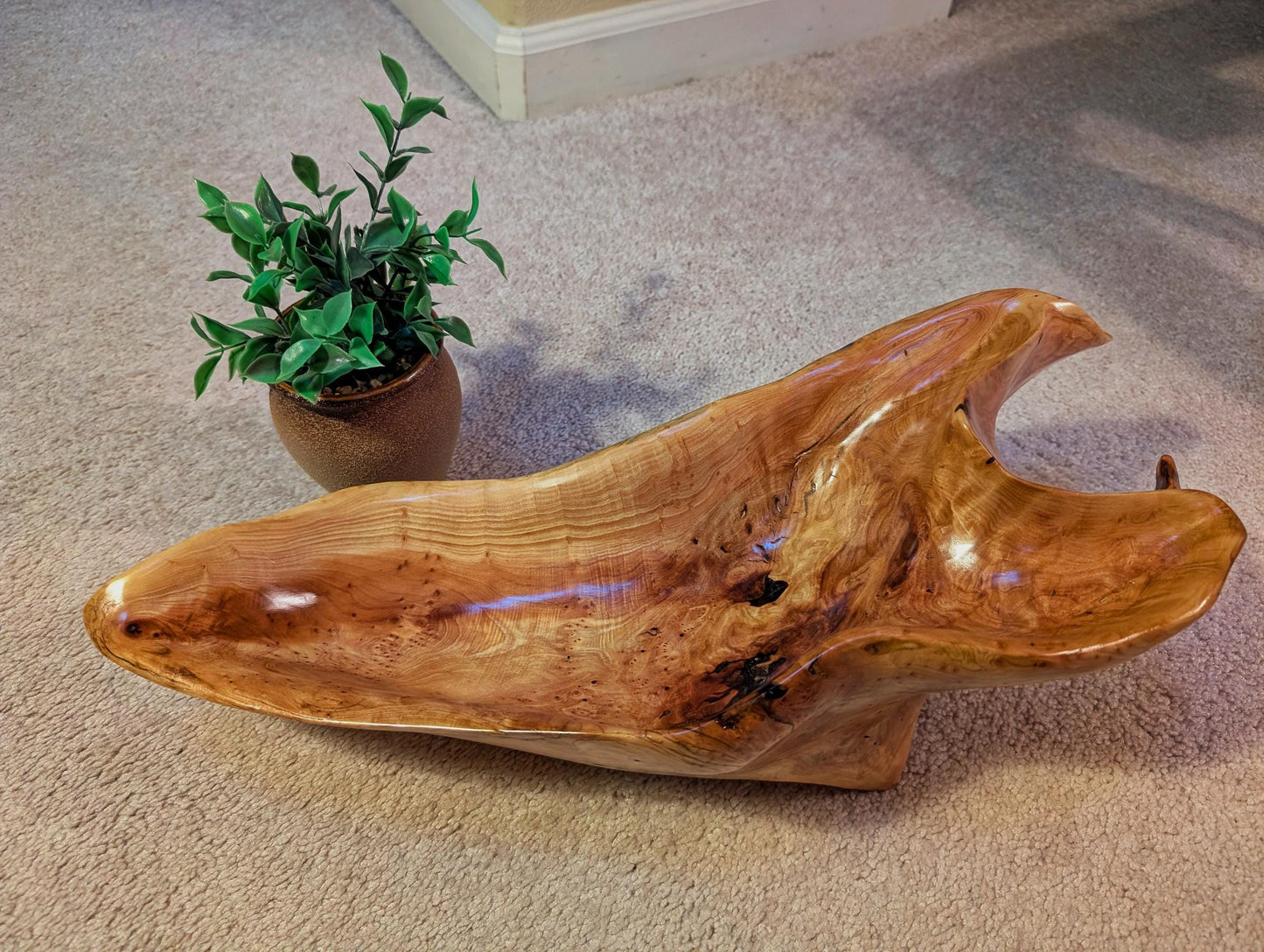 Driftwood bowl from Pacific Ocean, Sitka spruce, wood, natural colors golden brown, irregular, 6" tall x 19 x 8, Wabi Sabi  one-of-a-kind, 580-A