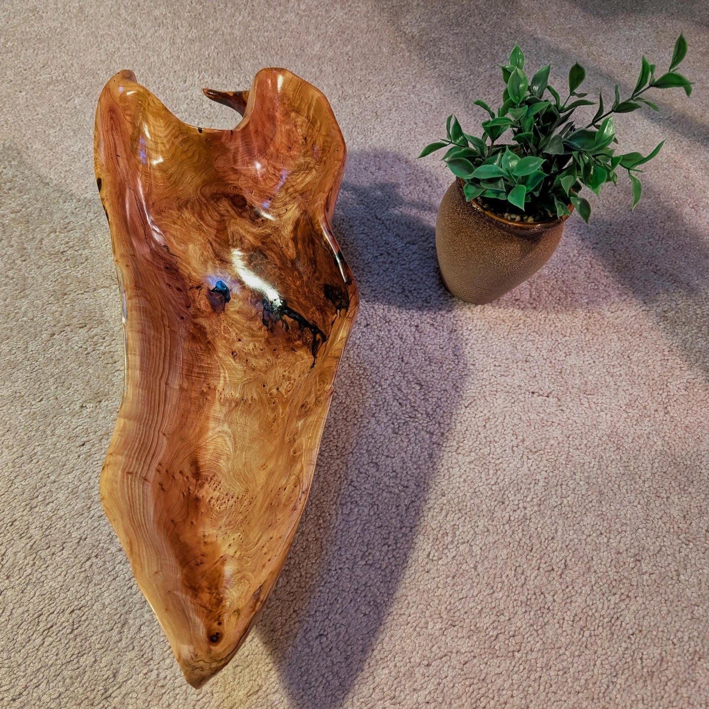 Driftwood bowl from Pacific Ocean, Sitka spruce, wood, natural colors golden brown, irregular, 6" tall x 19 x 8, Wabi Sabi  one-of-a-kind, 580-A