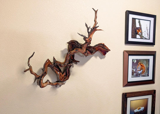 Manzanita wall hanging, twisted wood natural sculpture, twisted branches & roots, 27x16.5x9.5'', Wabi Sabi, one-of-a-kind, upcycled, 605-A