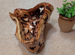 buggy bowl with holes, unique exotic wood, bowl sculpture, rich natural color, 6.5"Tx14x11, Wabi Sabi, one-of-a-kind, asymmetric, 622-A