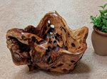 buggy bowl with holes, unique exotic wood, bowl sculpture, rich natural color, 6.5"Tx14x11, Wabi Sabi, one-of-a-kind, asymmetric, 622-A