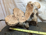 twisty scooped wood bowl, exotic, pine, natural color, live edge, flared sides, 7.5"Tx12x11.5'', Wabi Sabi, one-of-a-kind, asymmetric, 998-F