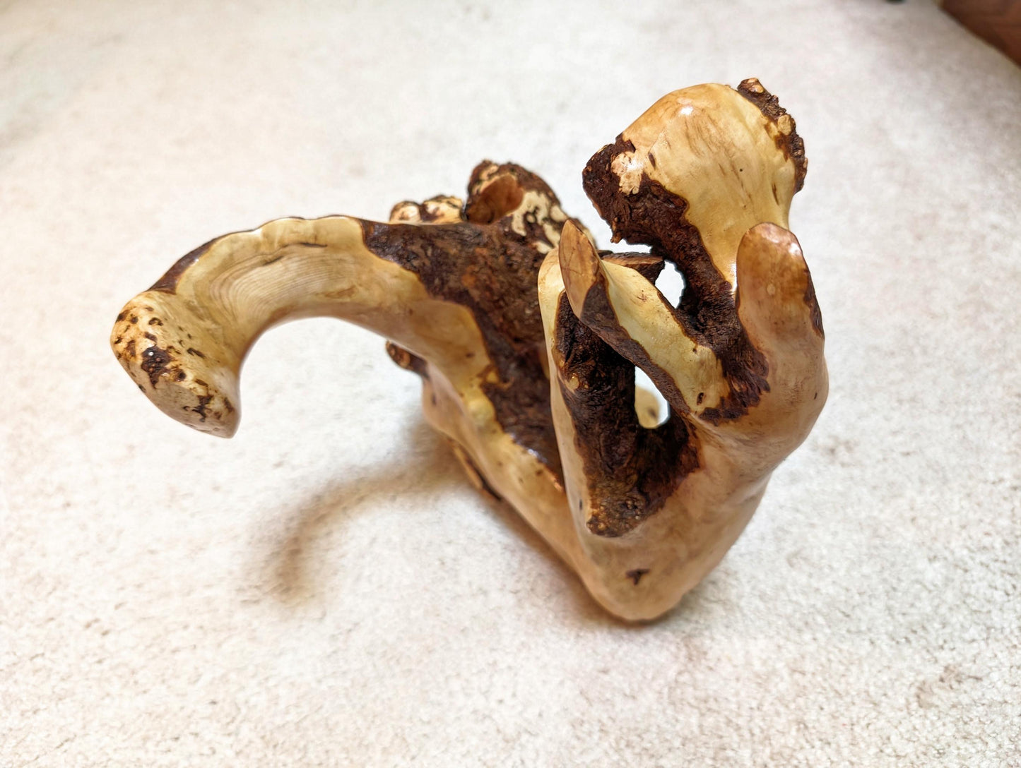 Wood vase sculpture, twisted, 2 part, rustic, unique, flowing, 9.5 in. tall x 10 x 9, Wabi Sabi, one of a kind, asymmetric, upcycled, 413-A