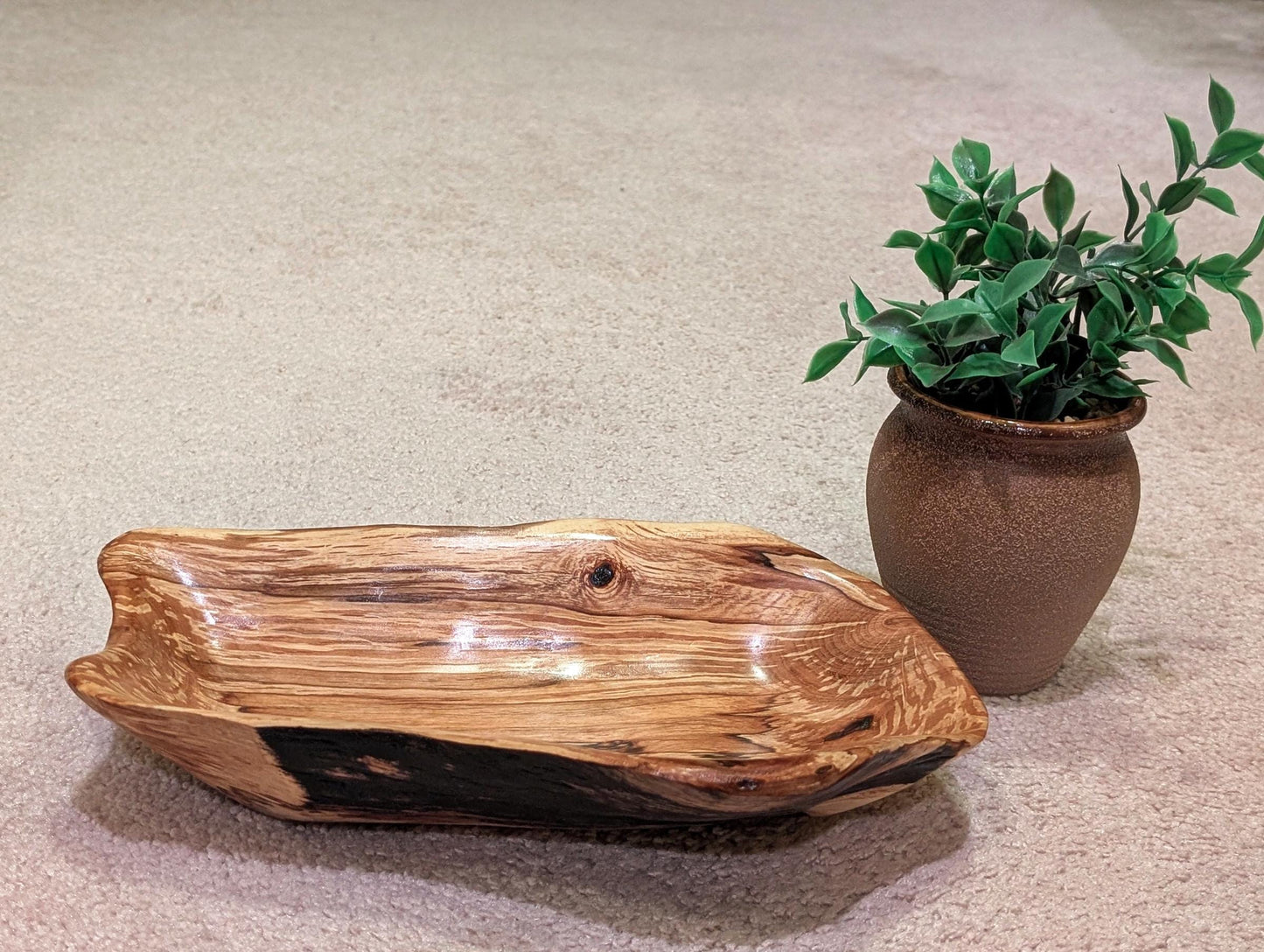 driftwood bowl, exotic, unique wood, bowl sculpture,  2.5" Tall x 11.5 x 7, Wabi Sabi, one-of-a-kind, asymmetric, rich color, figured, 641-C
