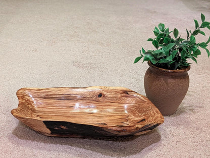 driftwood bowl, exotic, unique wood, bowl sculpture,  2.5" Tall x 11.5 x 7, Wabi Sabi, one-of-a-kind, asymmetric, rich color, figured, 641-C